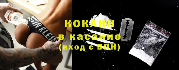 apvp Снежинск