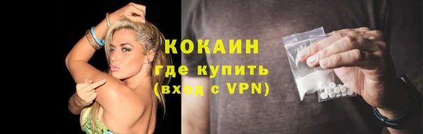 дмт Снежногорск