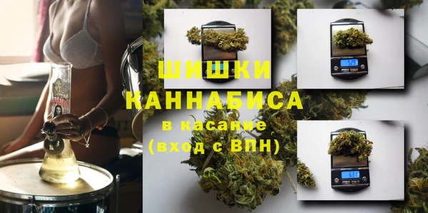 PSILOCYBIN Семёнов