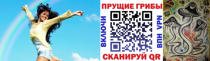Галлюциногенные грибы MAGIC MUSHROOMS  Купить закладки  Задонск 